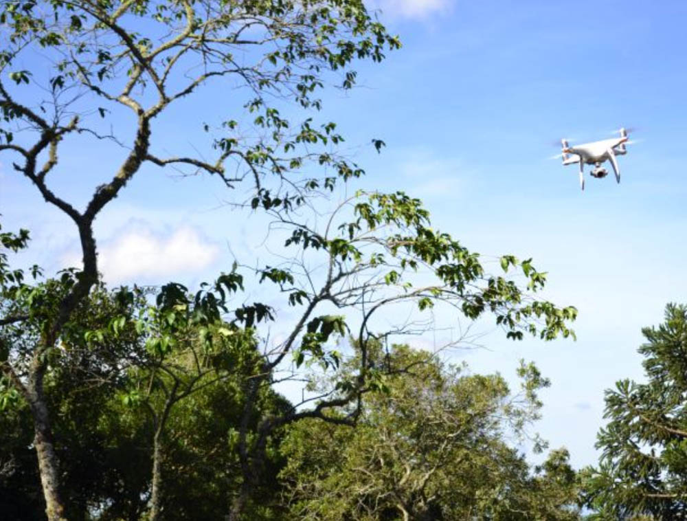 Recuperação de Áreas Degradadas: Um Compromisso com o Meio Ambiente